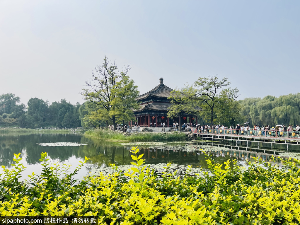 50 Rutas de Micro-Viajes en Beijing: Rutas de Micro-Viajes para pasear por los parques de la ciudad